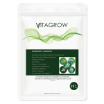 Pijnverlichtende pleisters